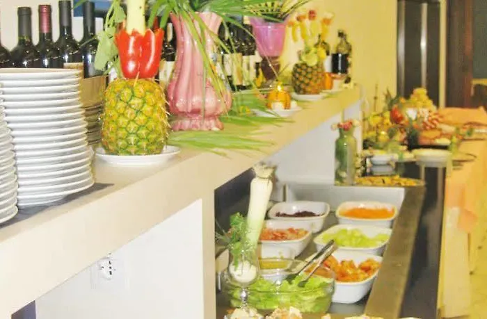 席勒酒店 3* 切尔维亚